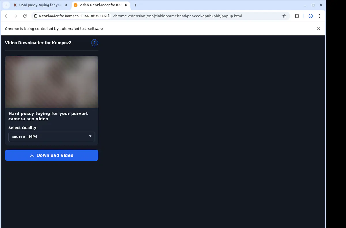 Kompoz2 Video Downloader browser extension screenshot 3